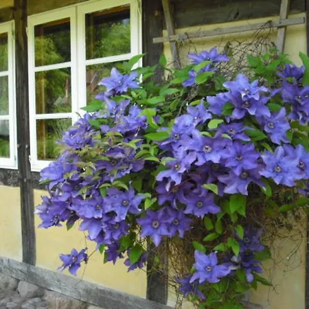 Landhaus Kiesow Suderburg Exterior photo