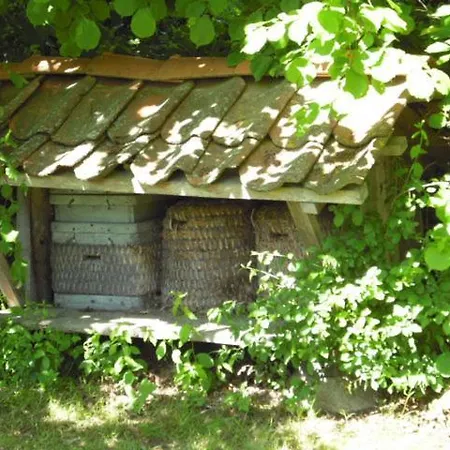 Landhaus Kiesow Suderburg Exterior photo