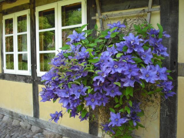 Kiesow * Suderburg
